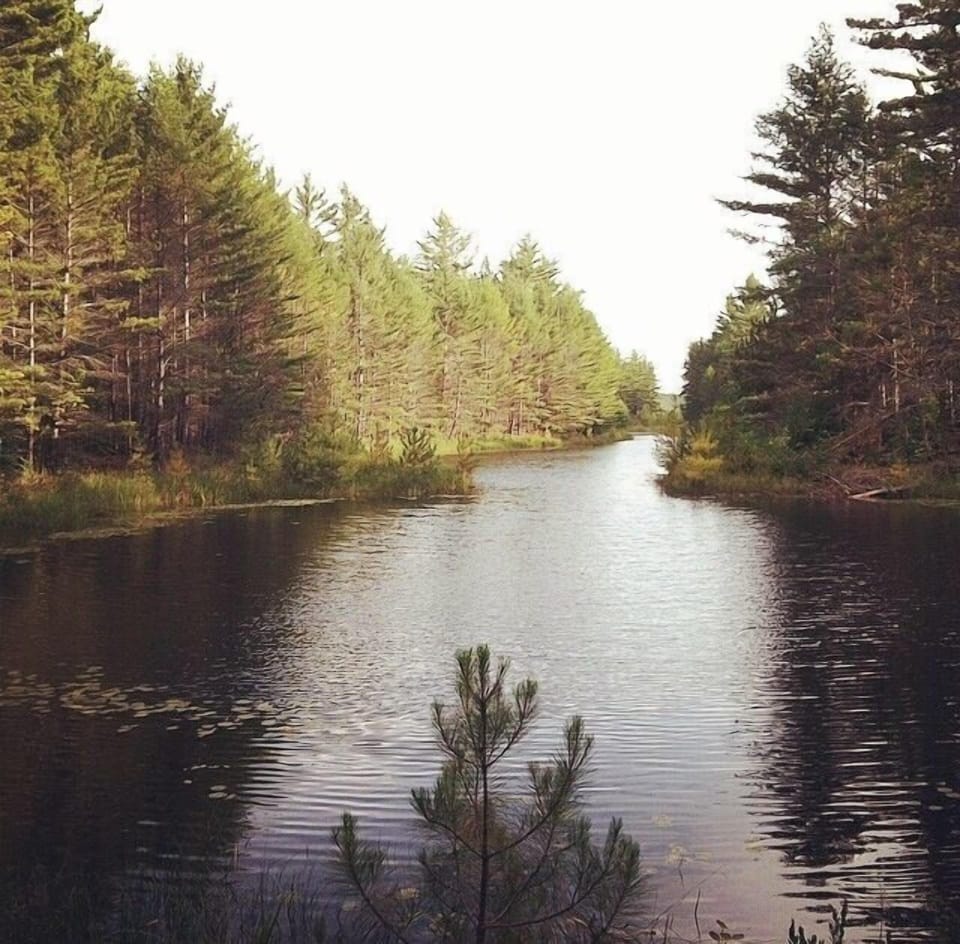'The Ponds,' our private fresh-water lake in the woods