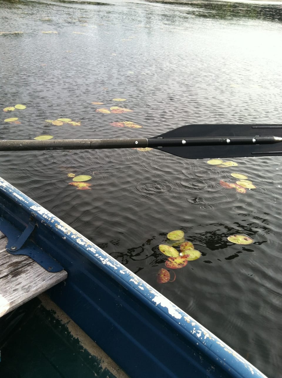 the oar reaches for the water