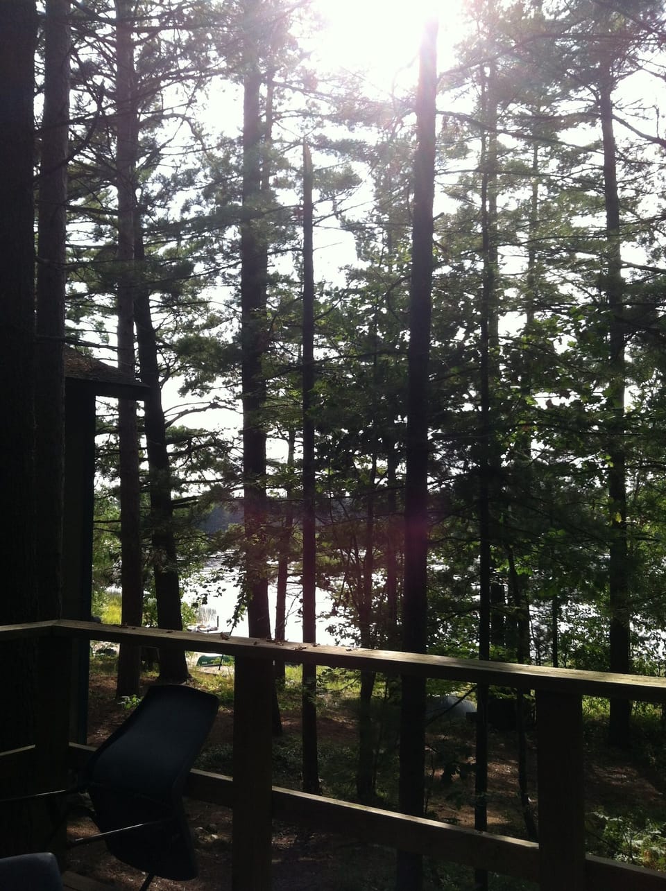 view from Junior's deck