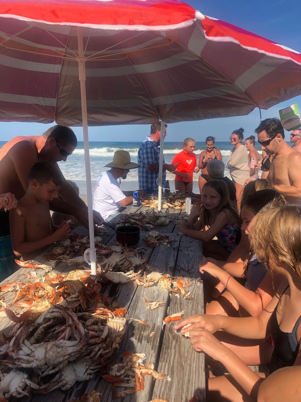 Steamed Crabs 