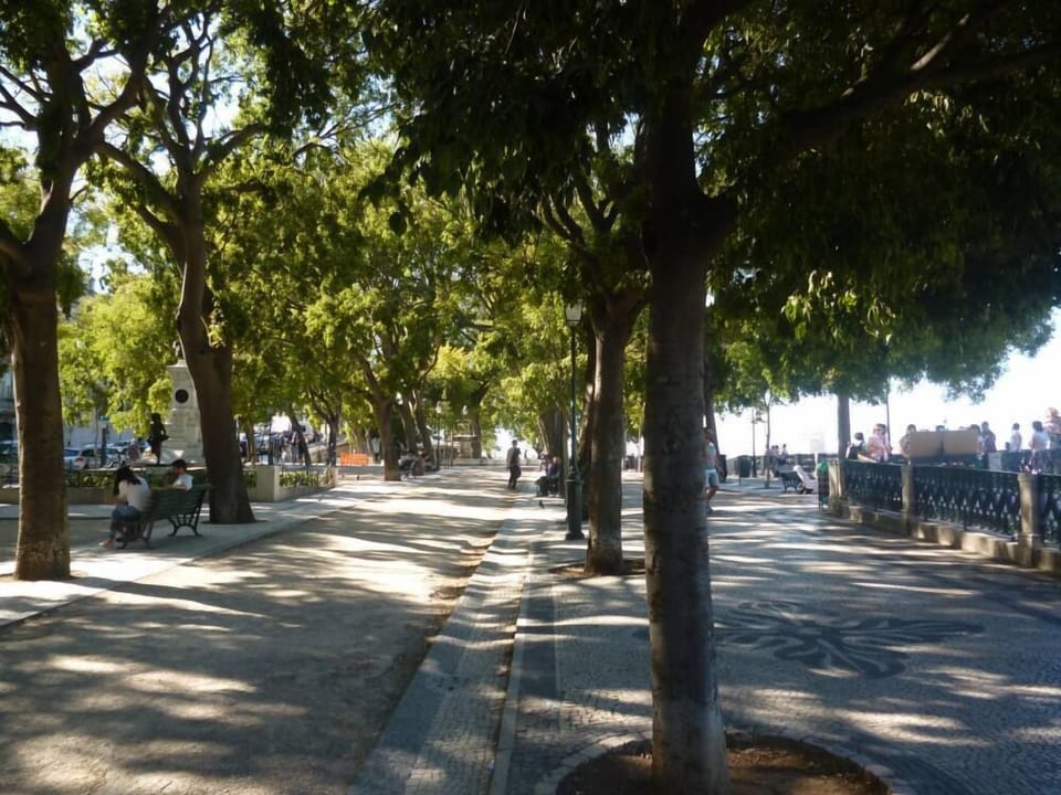 Garden, Park