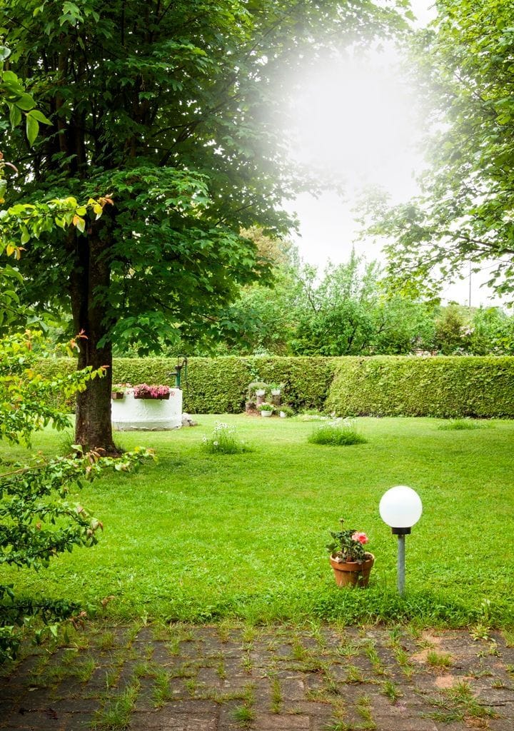 In ruhiger, zentraler Lage mit Garten Apartment in Bavaria