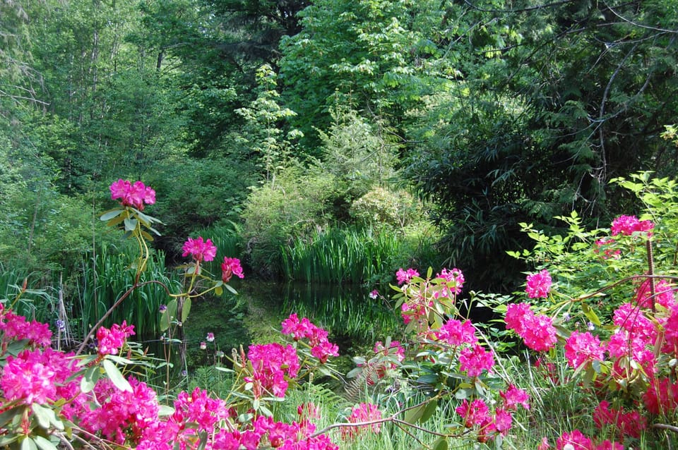 Hobos pond