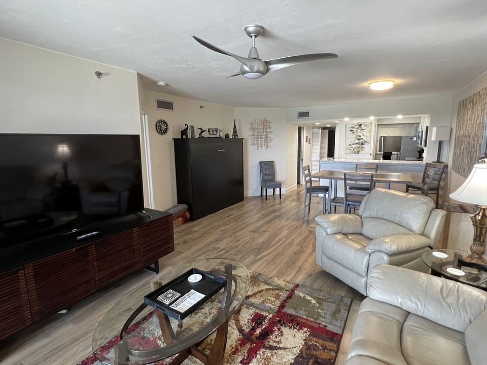 View from lanai to living room