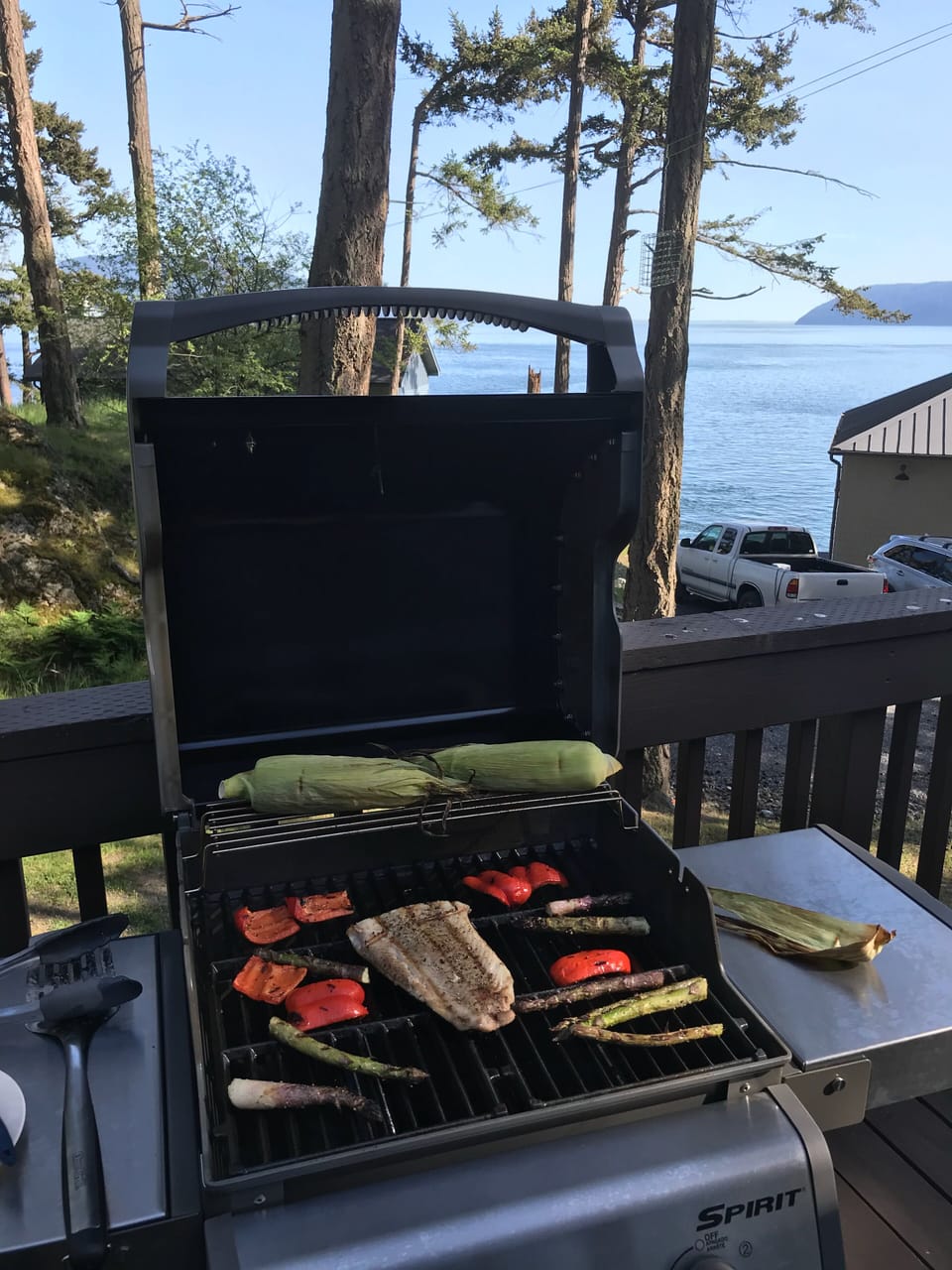Barbecue (with a view)