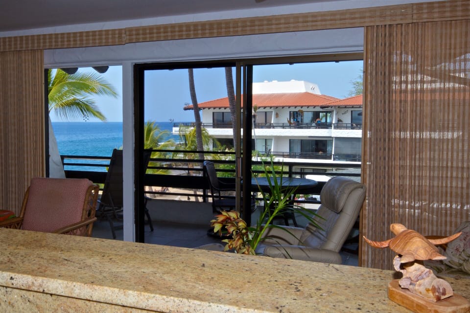 Ocean View from the Kitchen in Casa De Emdeko 318