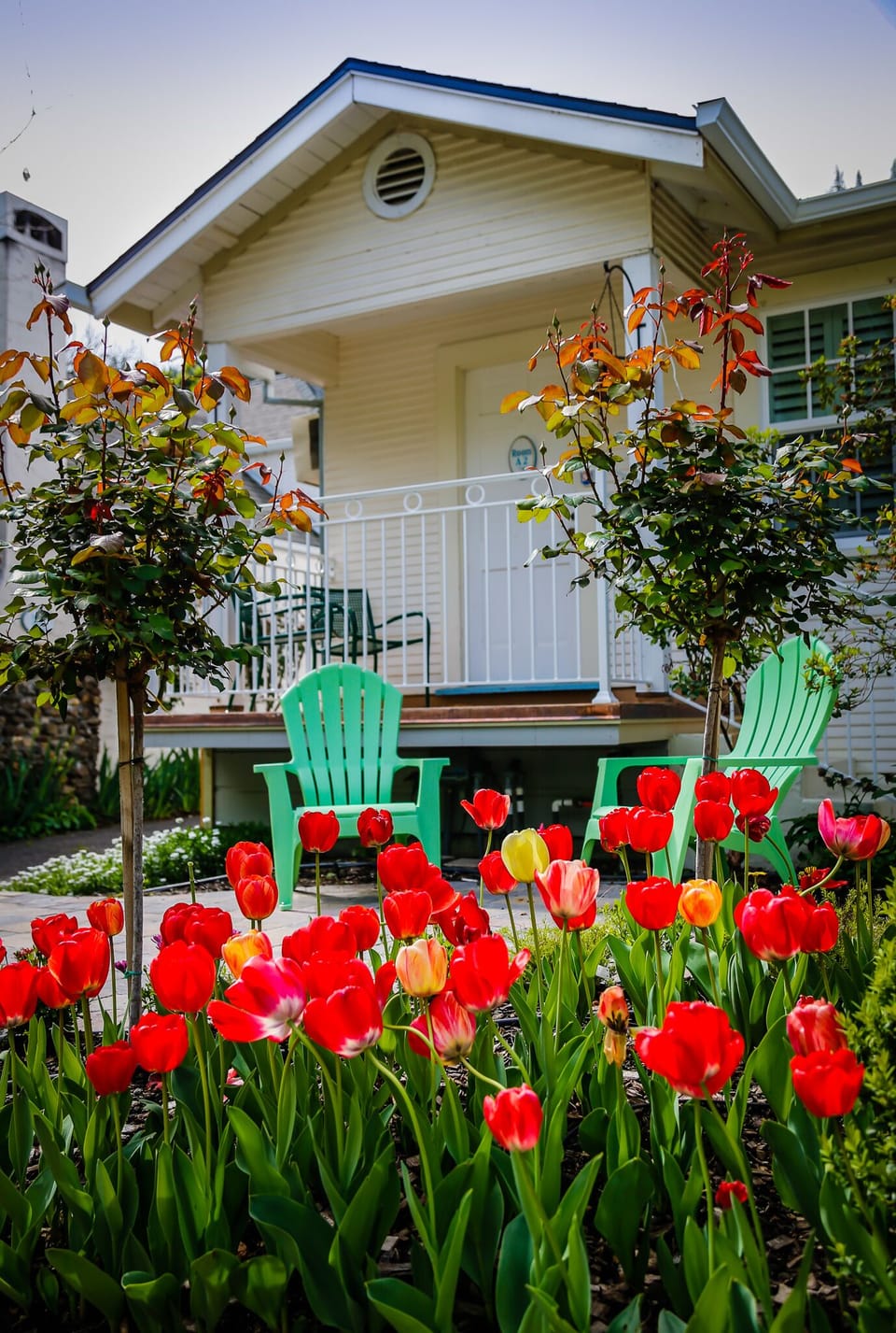 Read a book on the deck or garden terrace