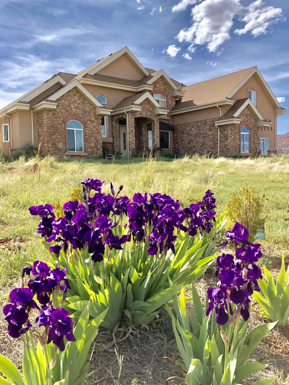 We like the property natural, wild and blooming! 