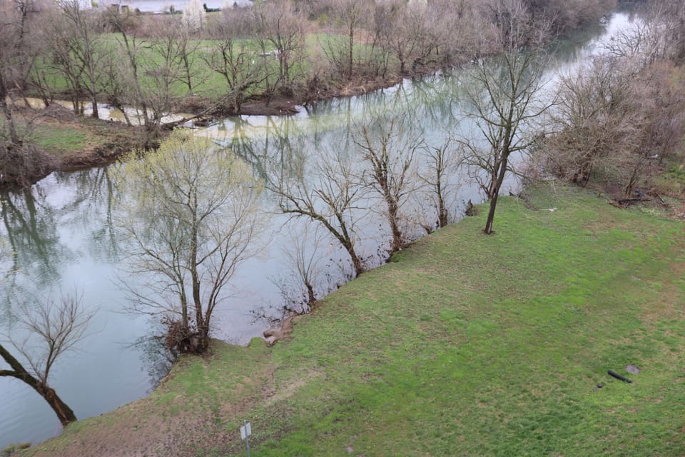 Watch the ducks from the balcony