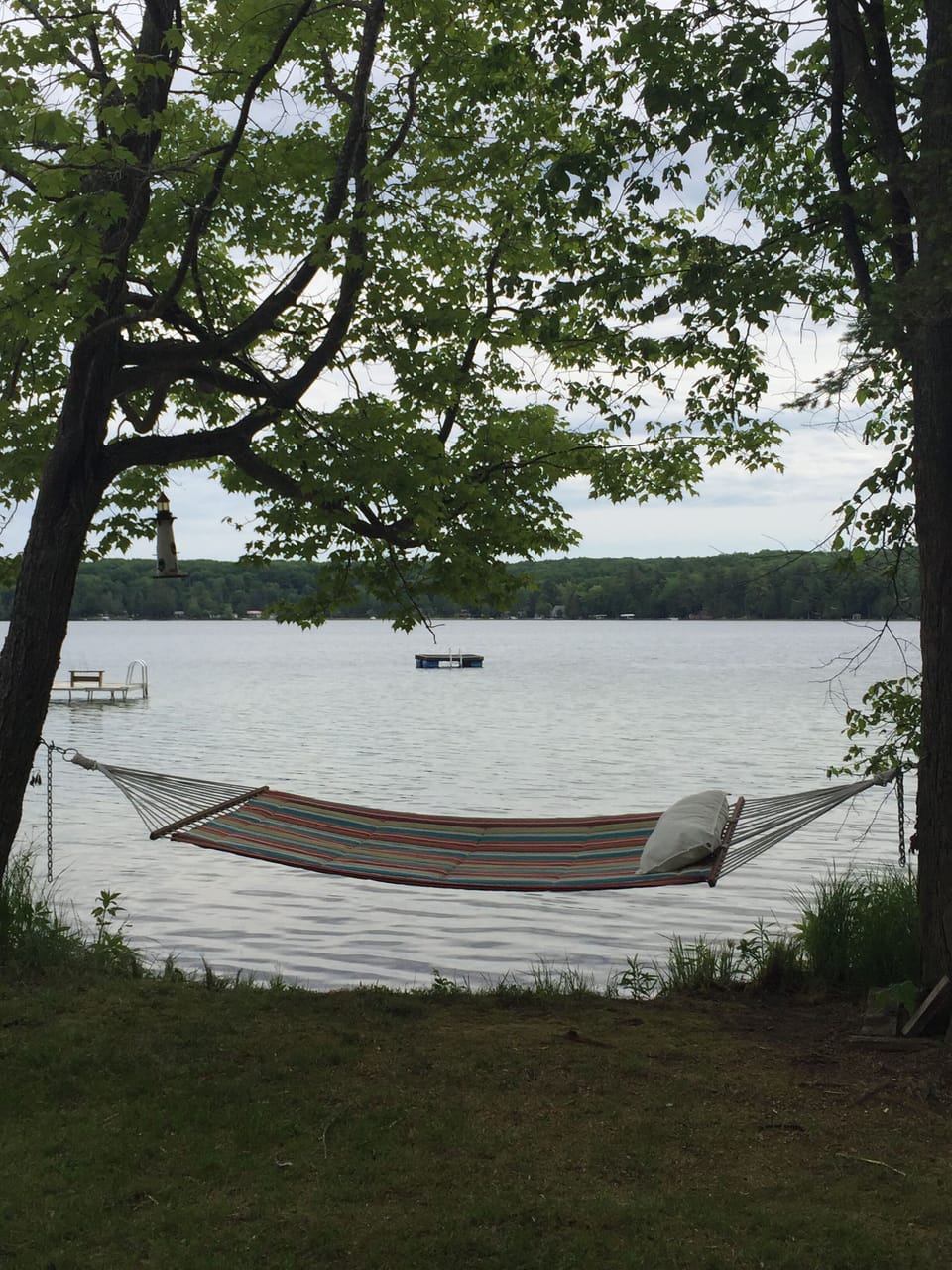 Relax in the hammock