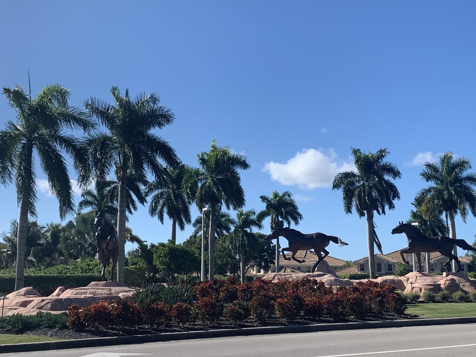 Lely Resort