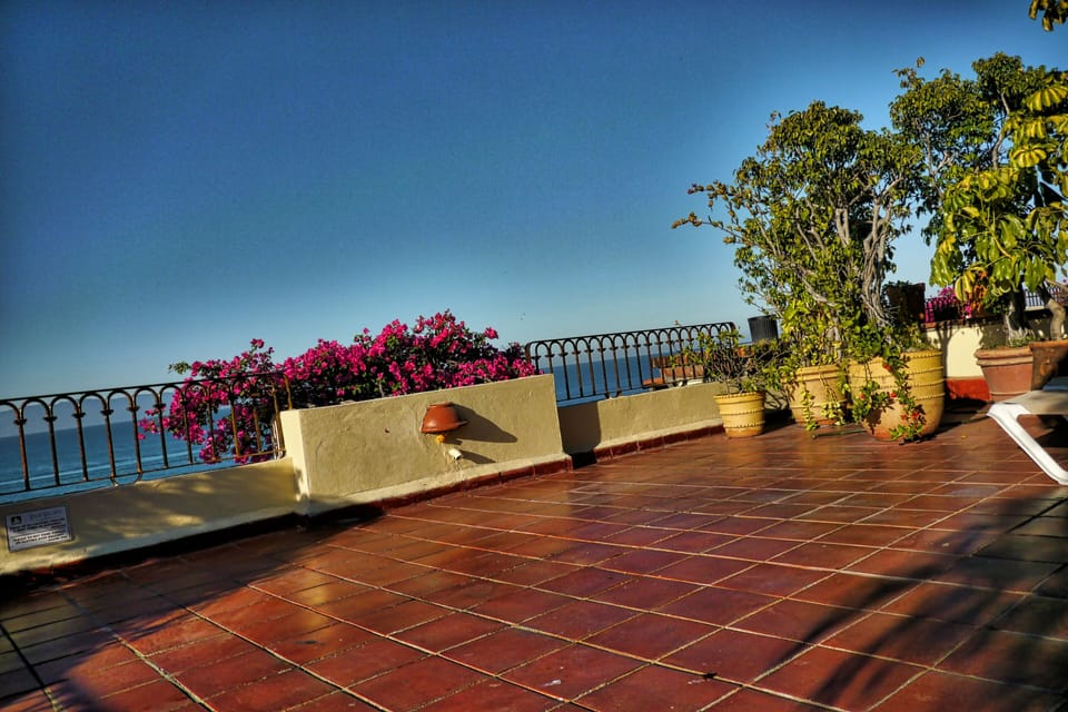 Portion of the Patio