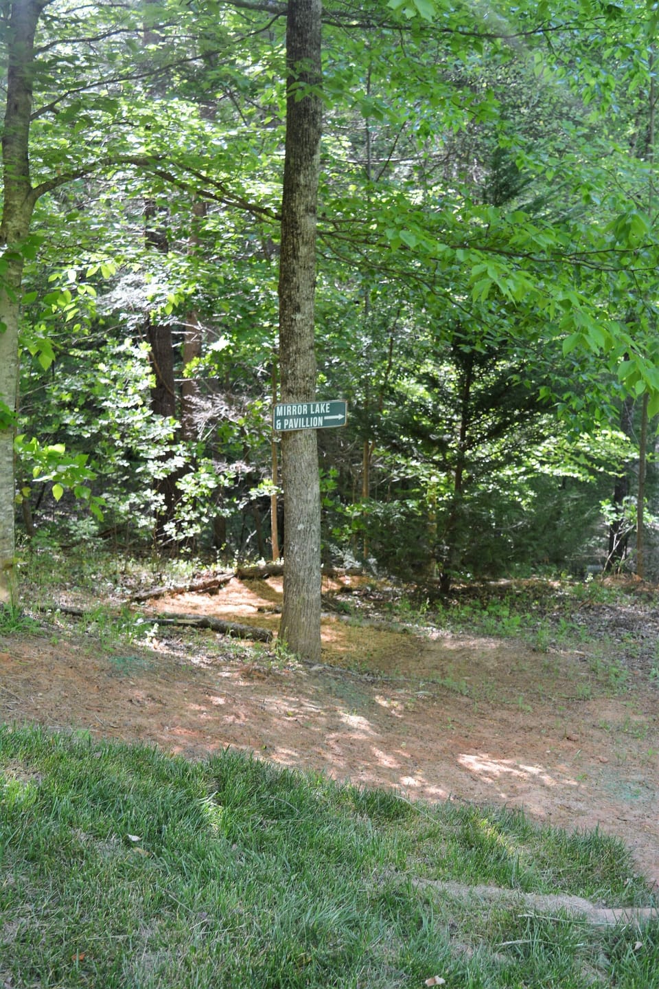 Walk to the Broad River and Mirror Lake