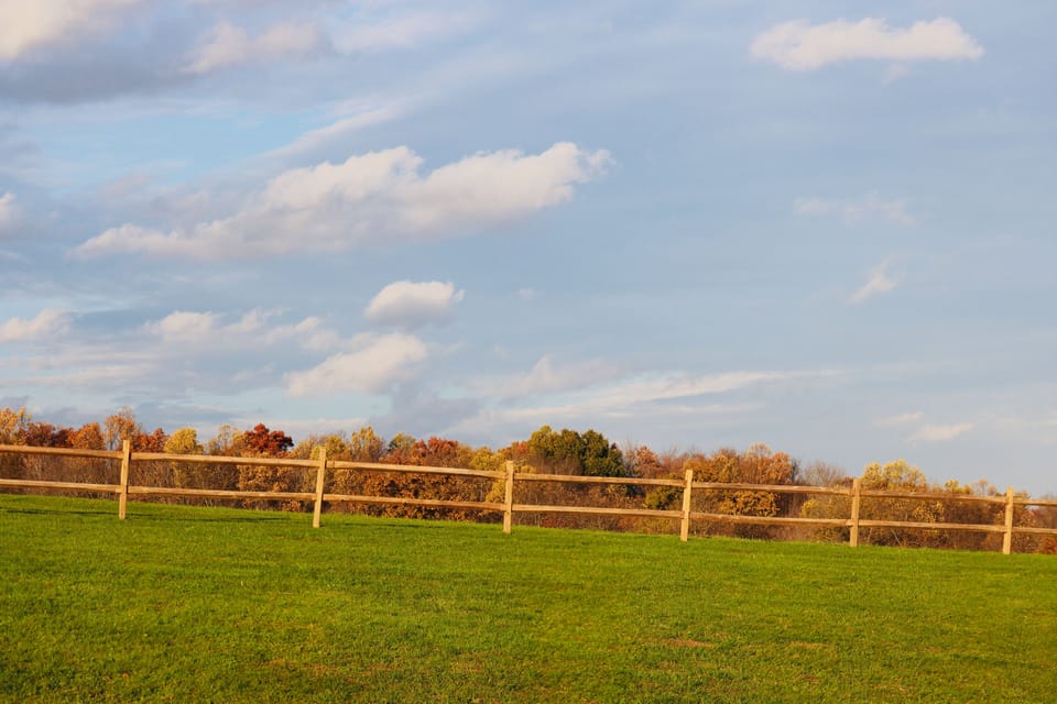 Wonderful Fall ...in backyard of Farmhouseinn 