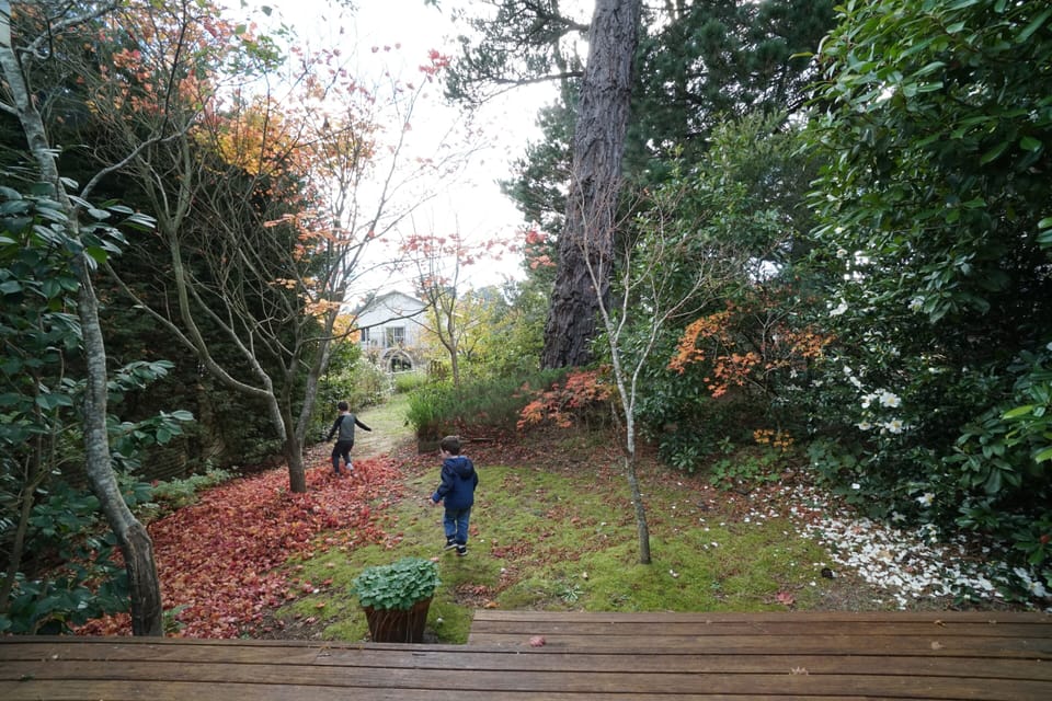Child friendly fully fenced backyard.