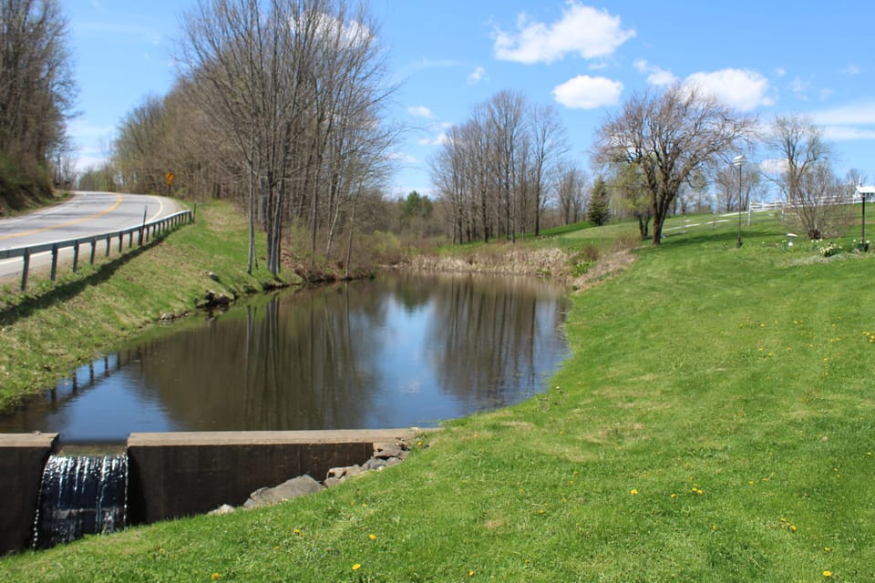 Pond