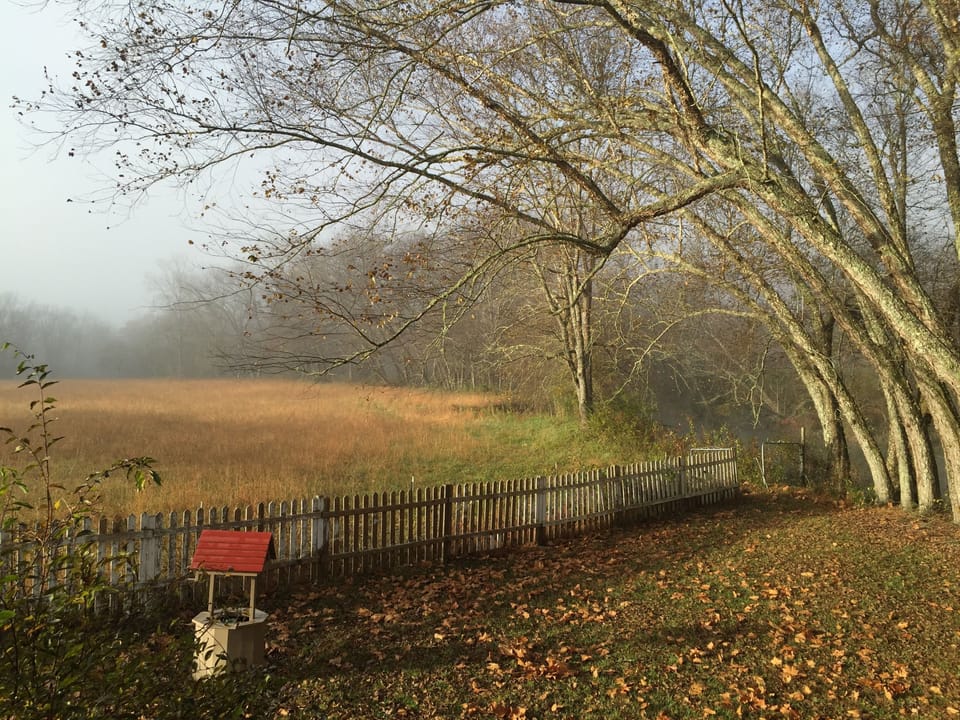 View from deck during winter overlooking meadow and river.