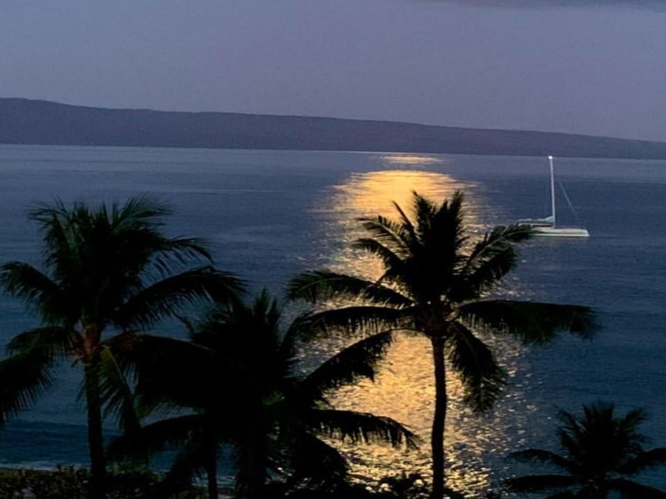 From our lanai, early morning  moon shot