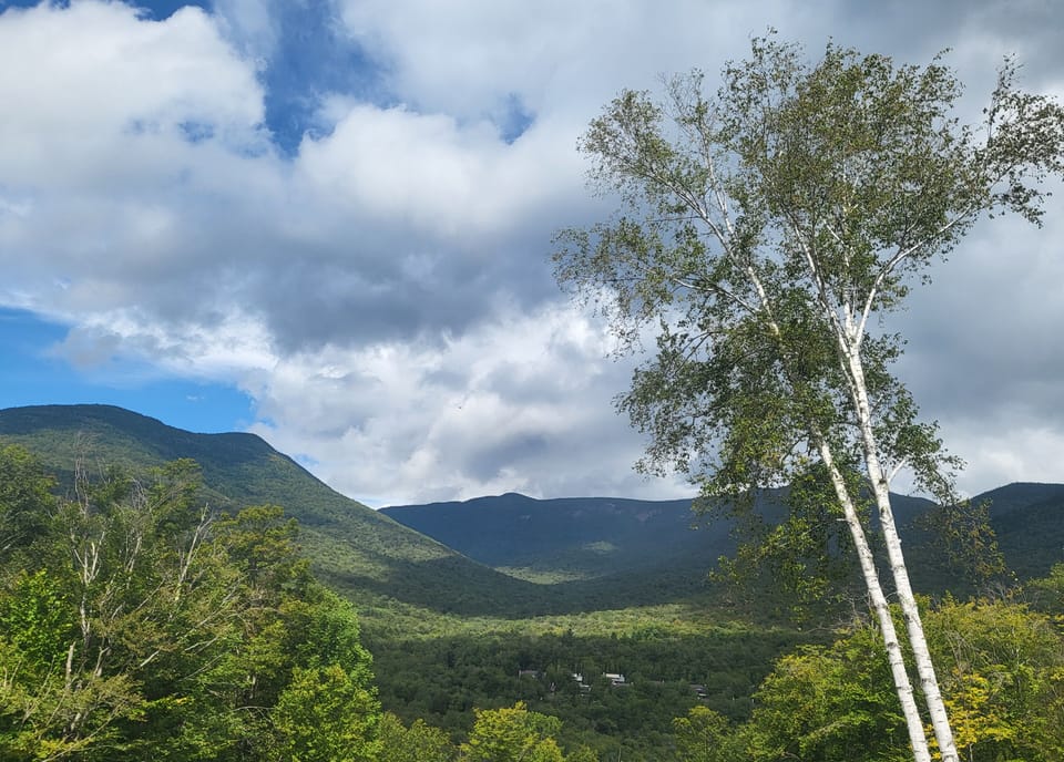 Beechnut 31 - View from the Deck