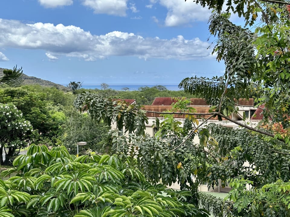 Front patio lanai ocean view