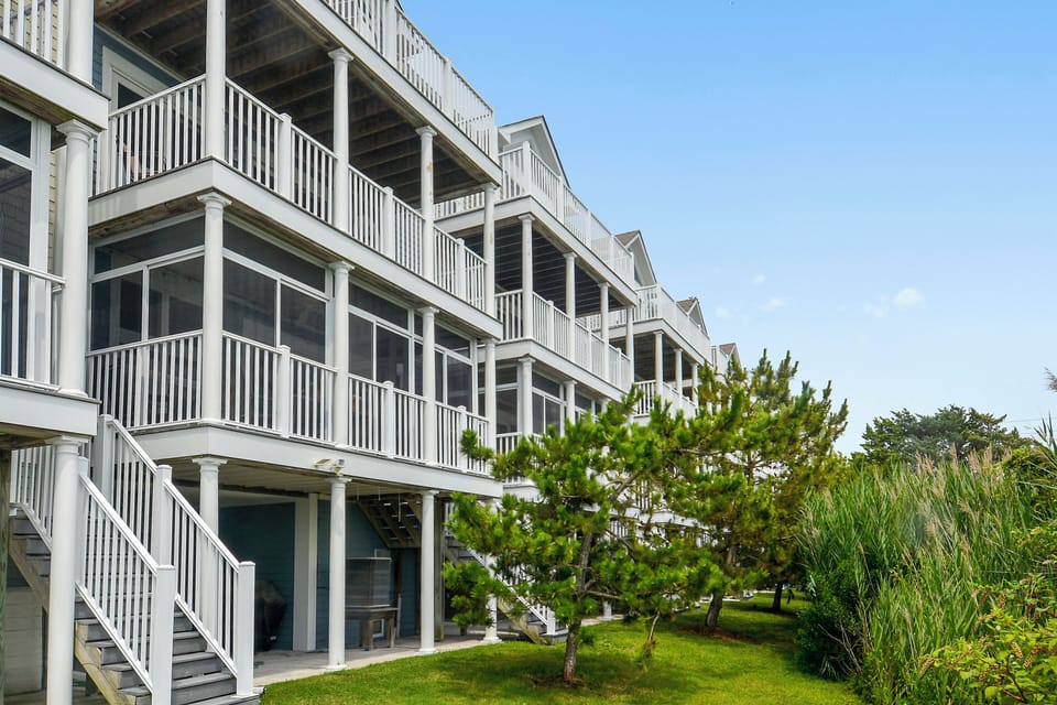 Exterior,Back Yard,
