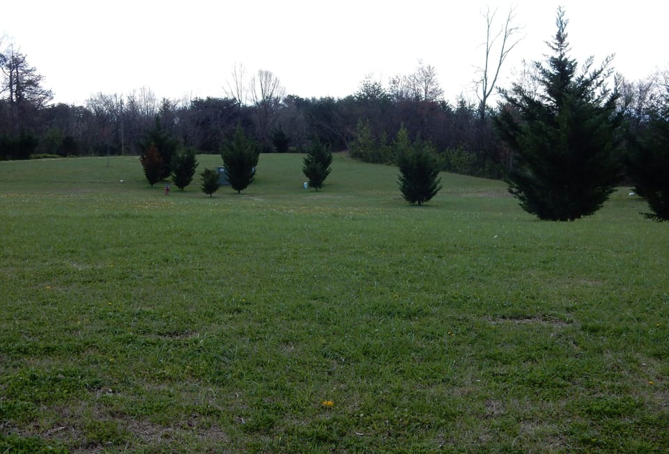 Resort Green Space