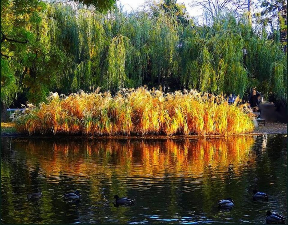 Stadtpark (Viennese City Park) - 10 min Walking