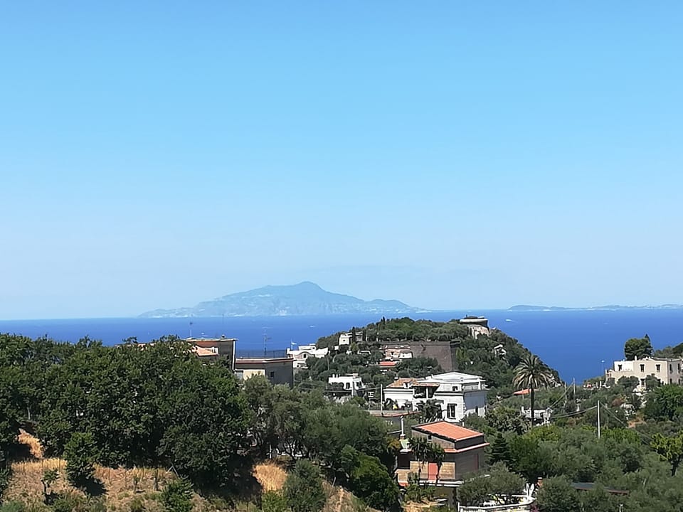 Beach/ocean view