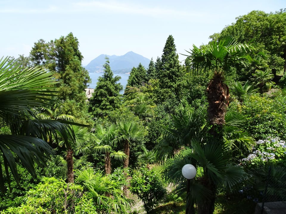 View over the garden next door