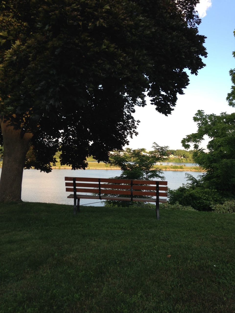 overlooking the regatta
