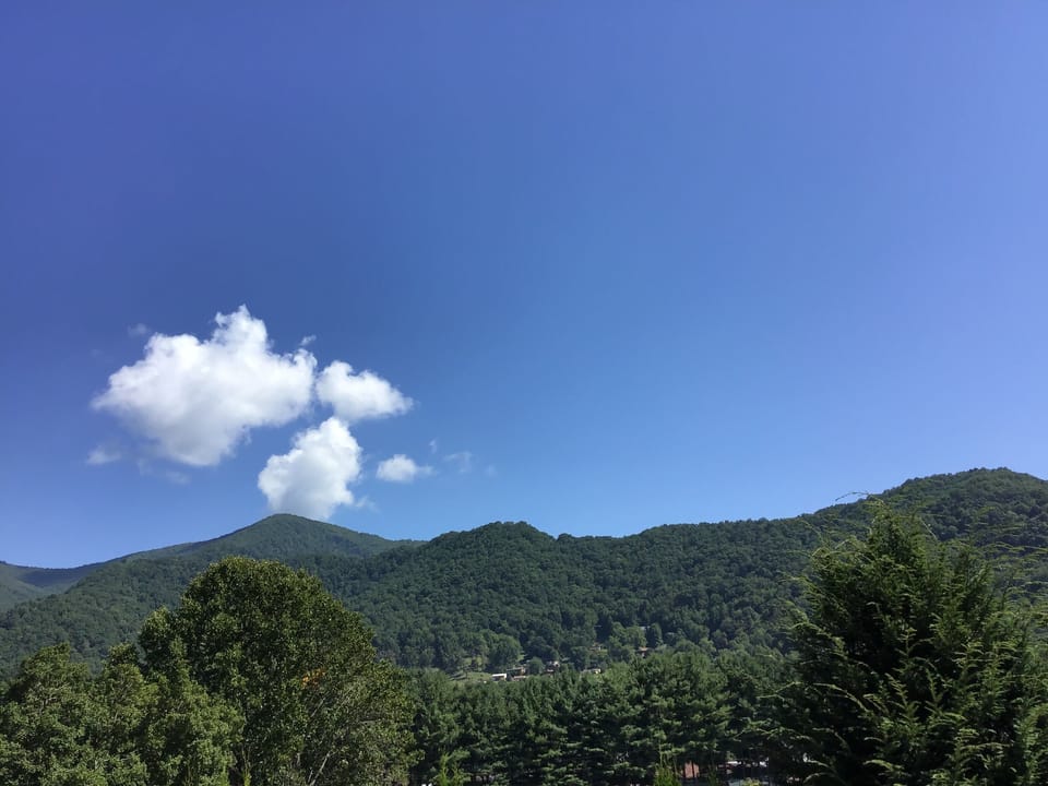 Gorgeous year round Mountain View 
