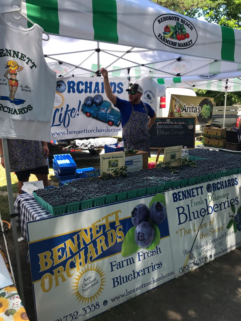 Rehoboth farmers market 