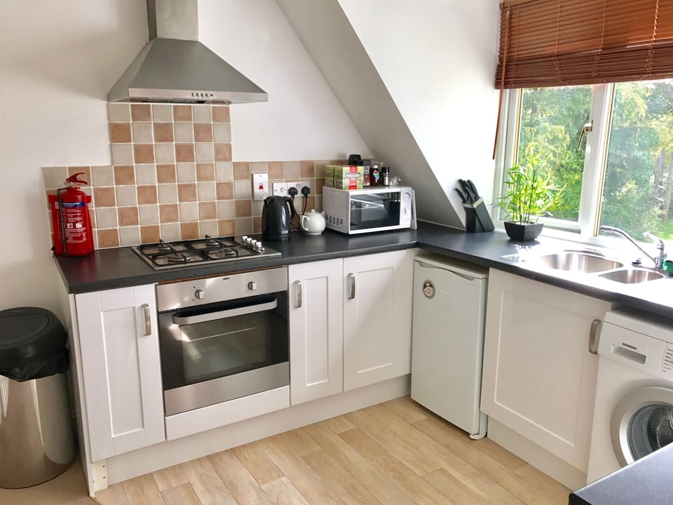 Oven, hob and microwave for cooking 