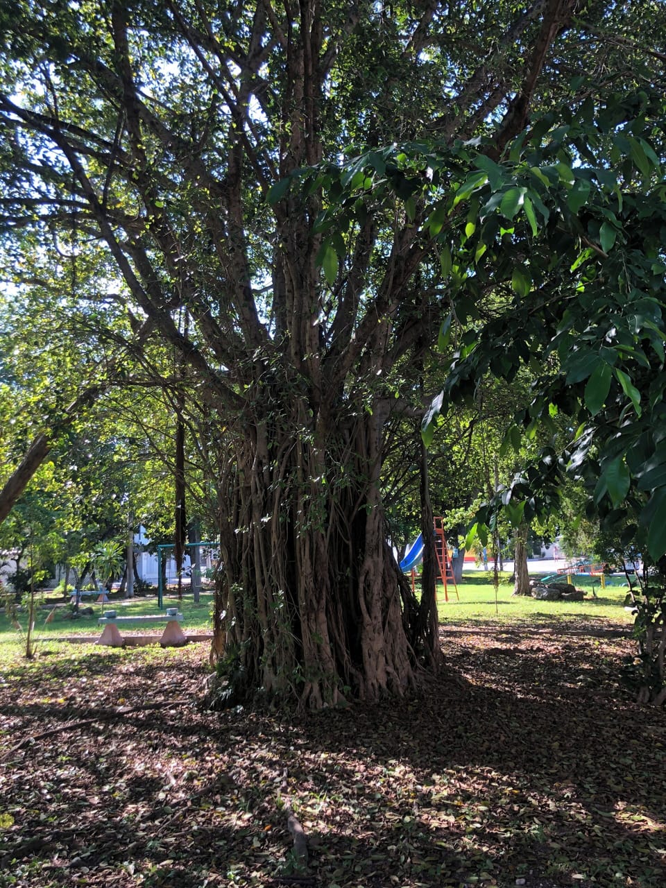 Property grounds