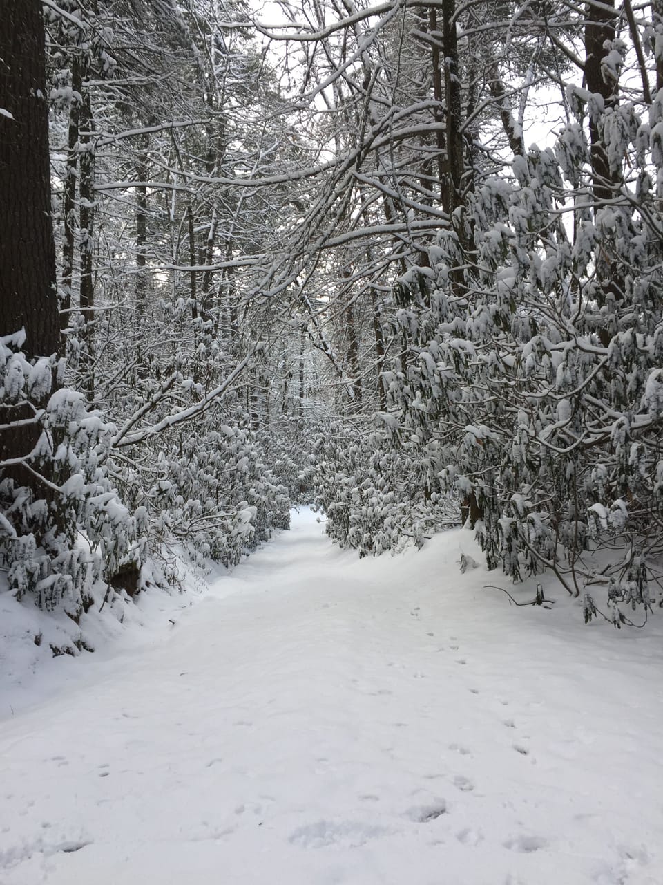 ....even in a magical snow...