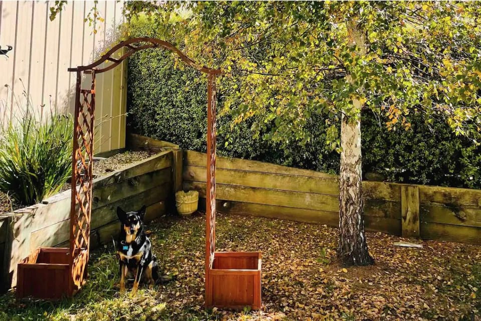 Pet Friendly backyard. We do not accept pets in Winter.