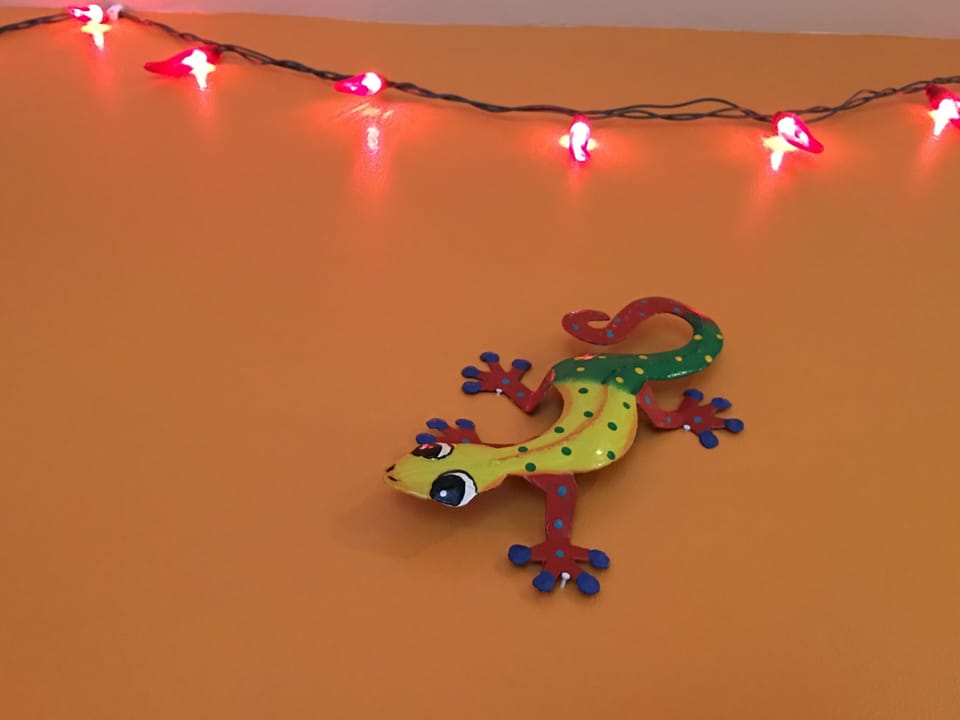 Fun Lizard in the Dining Nook