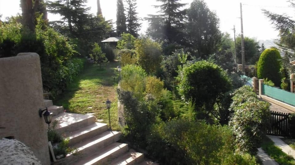 Garden, Park