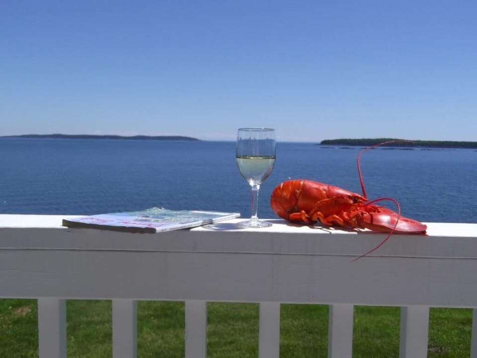 Lobster w/ a view