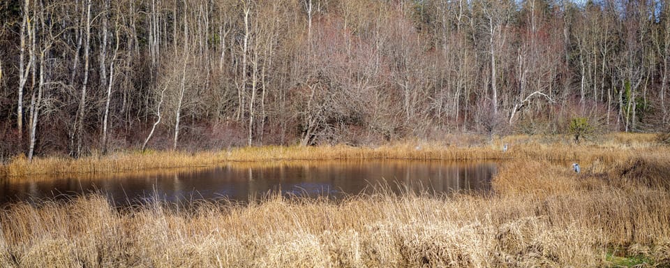 252 Crescent Beach Cottage Marketing Photos 04_01_2023 (11)