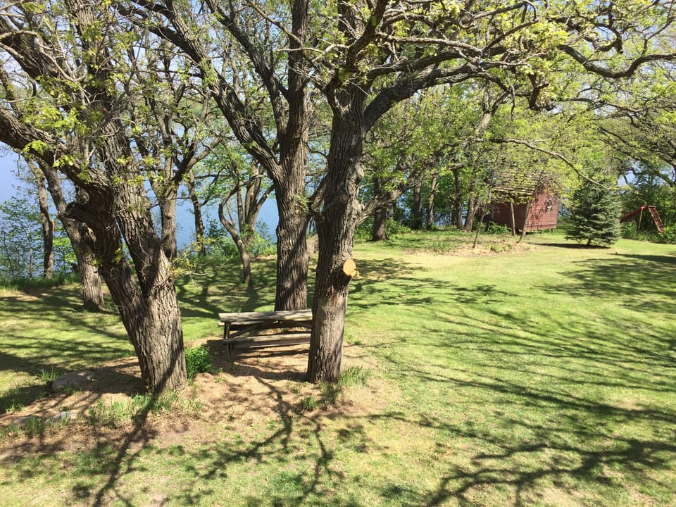 Outdoor picnic table and "fort"