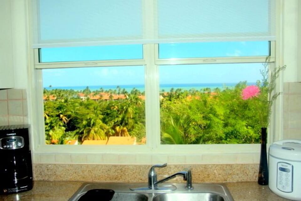 View from Kitchen