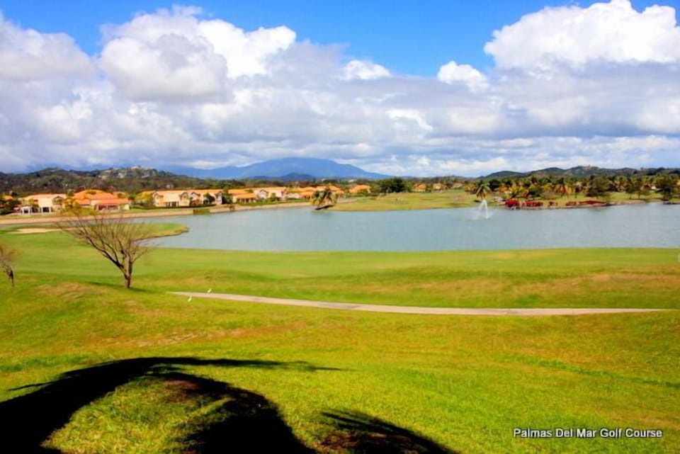 Golf Course