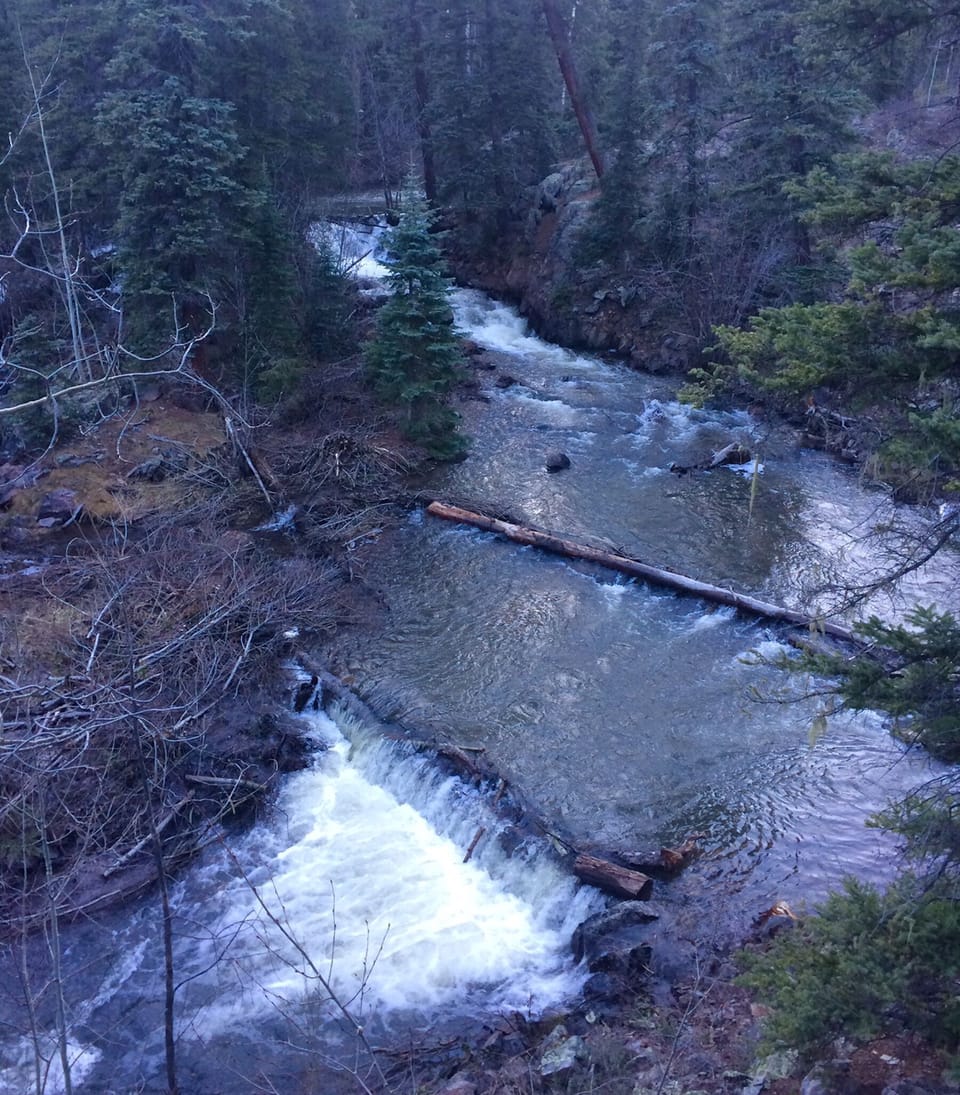 Spring runoff is loud and beautiful.  Hand made dams for the trout I stock.