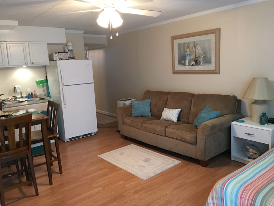 Living/Kitchen Area