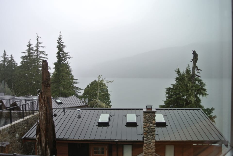 A foggy, misty morning view from your bedroom window.