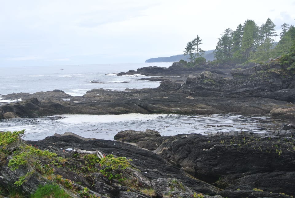 Botanical Beach.  Check it the low tide tidal pools.  Always a magical location.