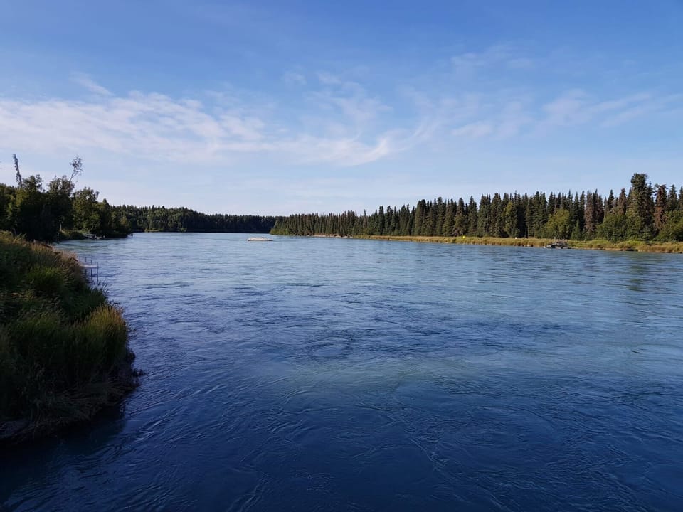 View from our 150 feet private Kenai River stretch
