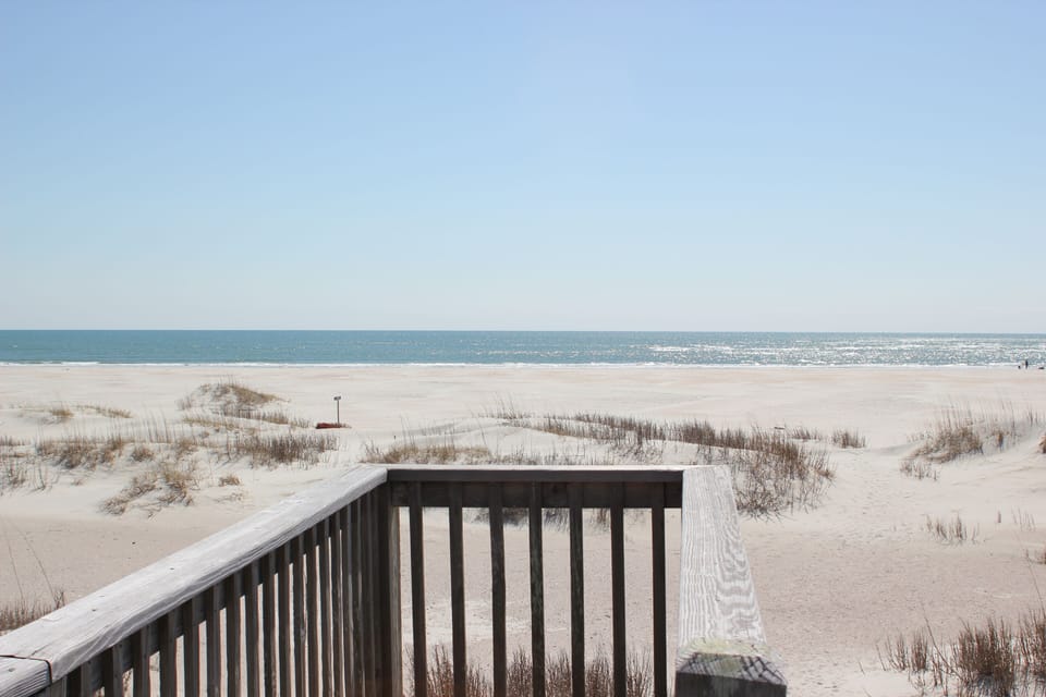 Your view everyday when staying at the Rustic Peacock!