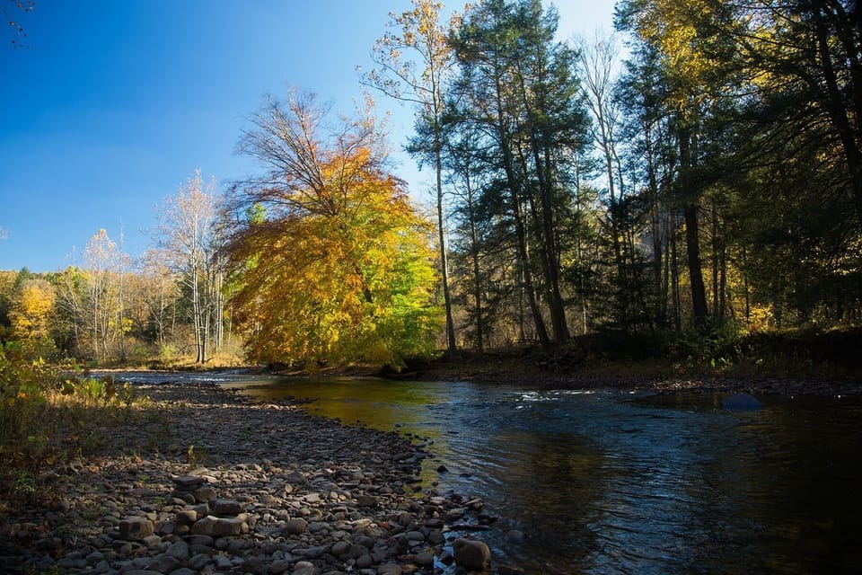 Upstream view from the rocky beach